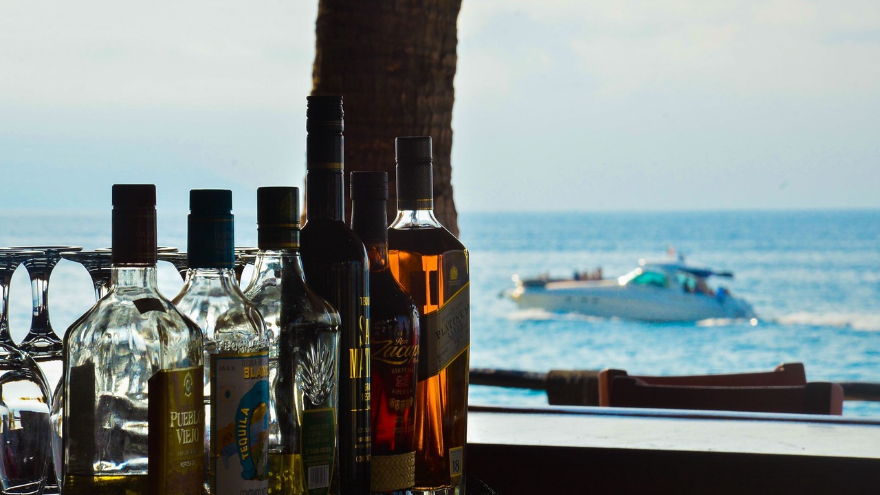 Photo of Others in Barra de Navidad