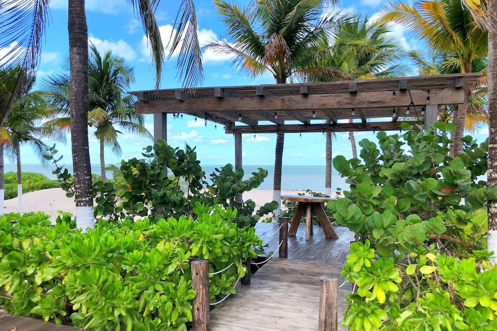 Photo of Outdoor in Mexico