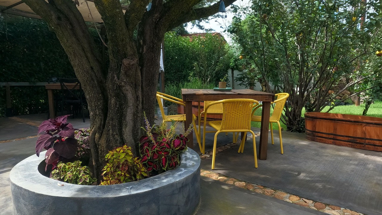 Photo of Patio Balcony in Acatlan