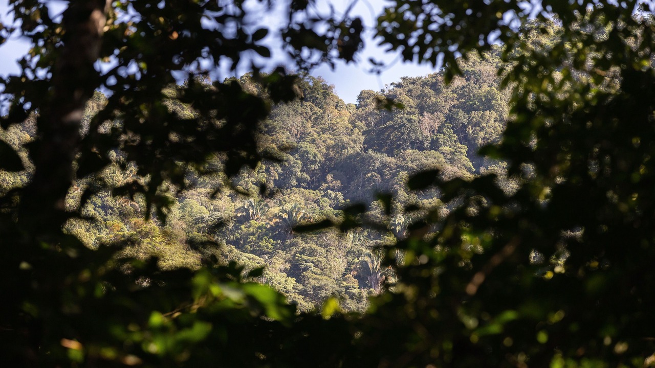 Photo of Outdoor in San Pedro Mixtepec
