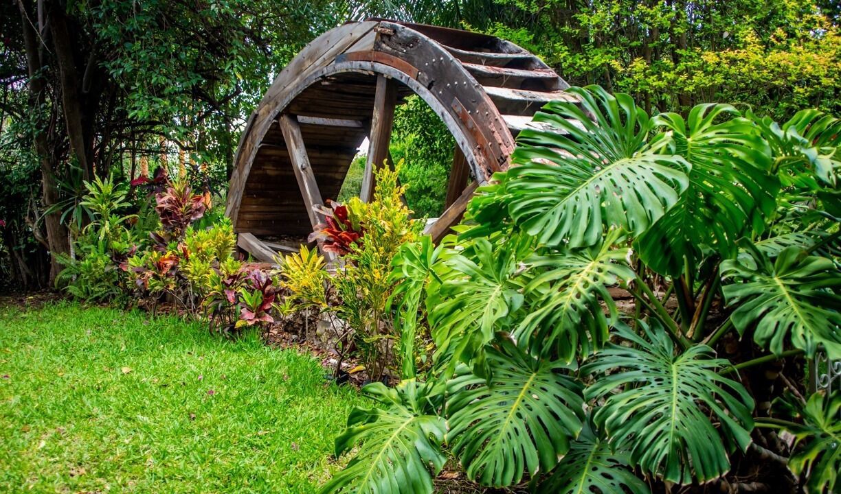 Photo of Outdoor in Rio Verde
