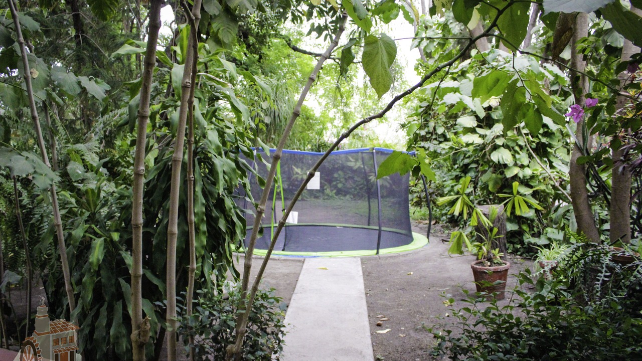 Photo of Others in Rio Verde
