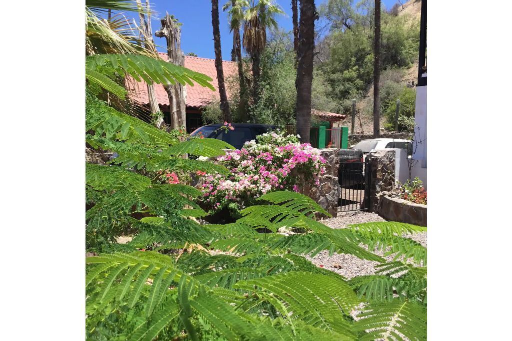 Photo of Outdoor in Mulege