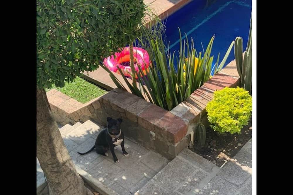 Photo of Outdoor in Rancho Cortes