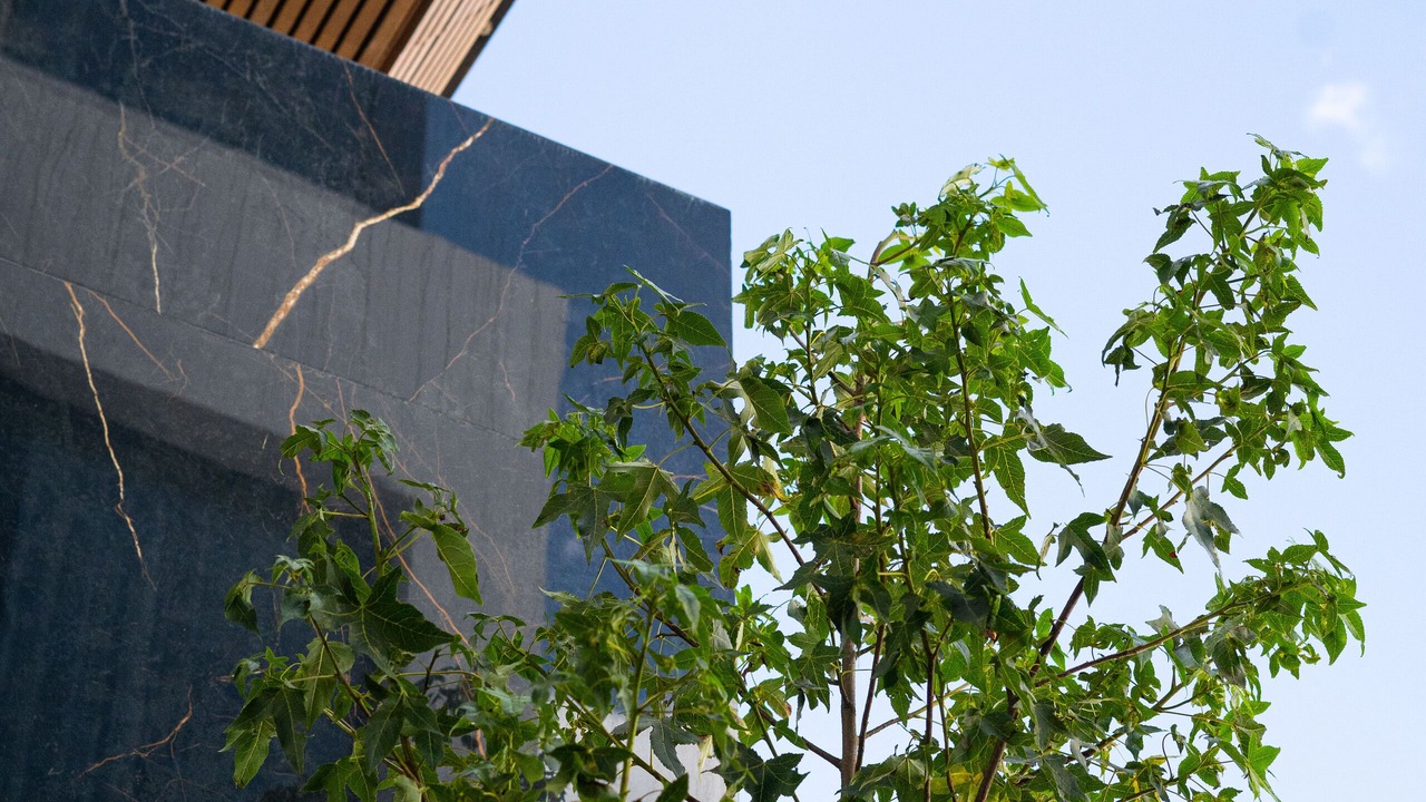 Photo of Outdoor in Zacatecas