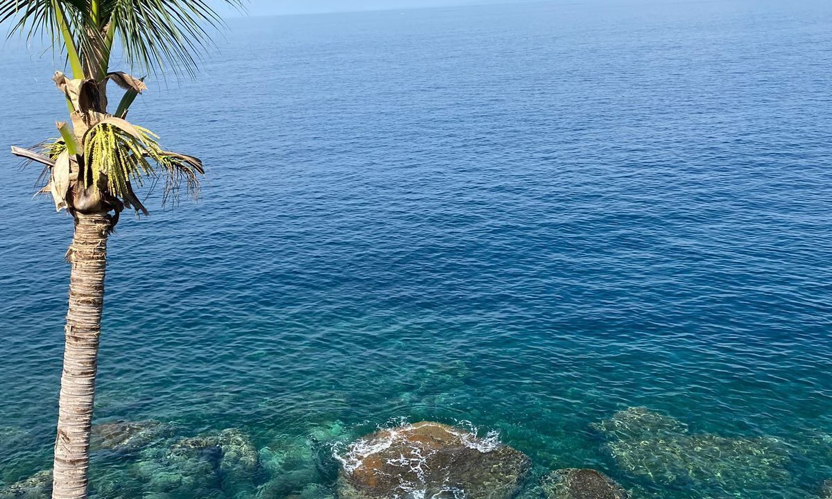 Photo of Outdoor in South Shore Hotel Area