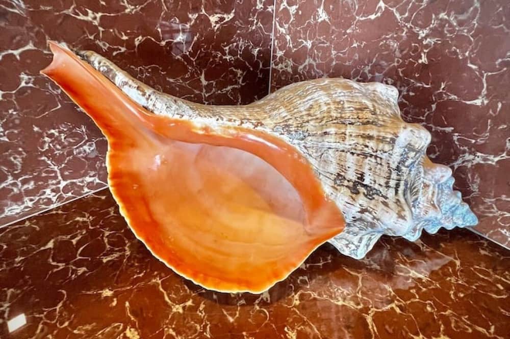 Photo of Others in Isla Mujeres