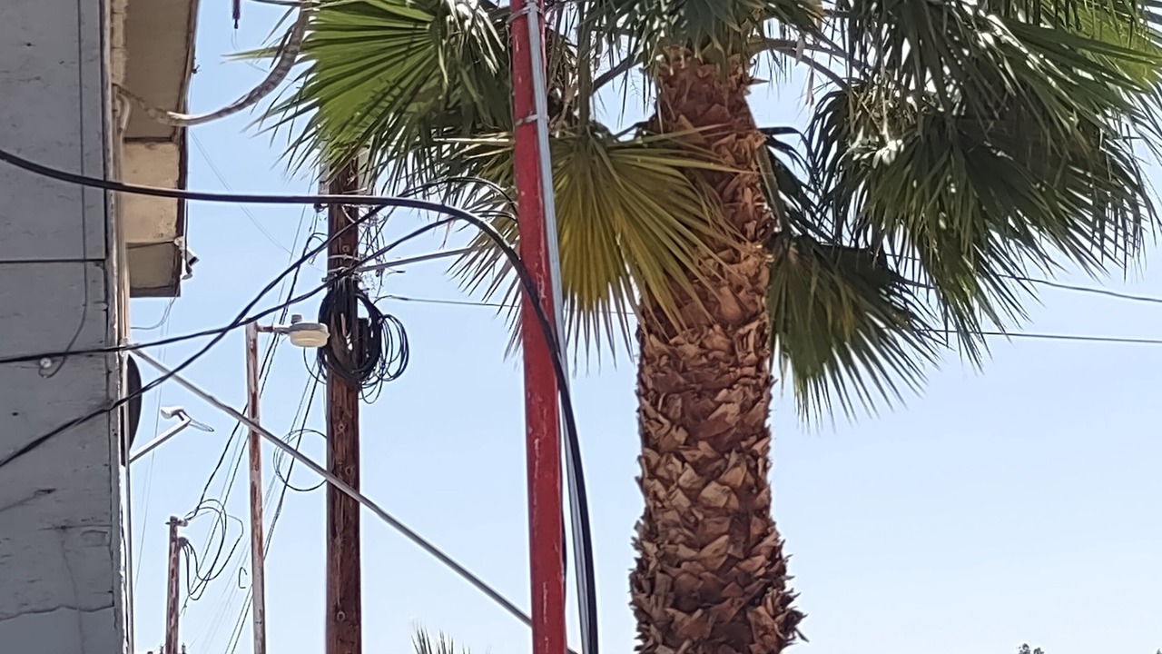 Photo of Outdoor in Nuevo Leon