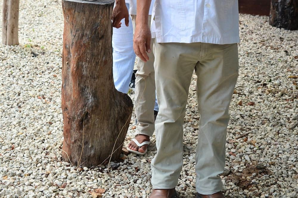 Photo of Outdoor in Coba