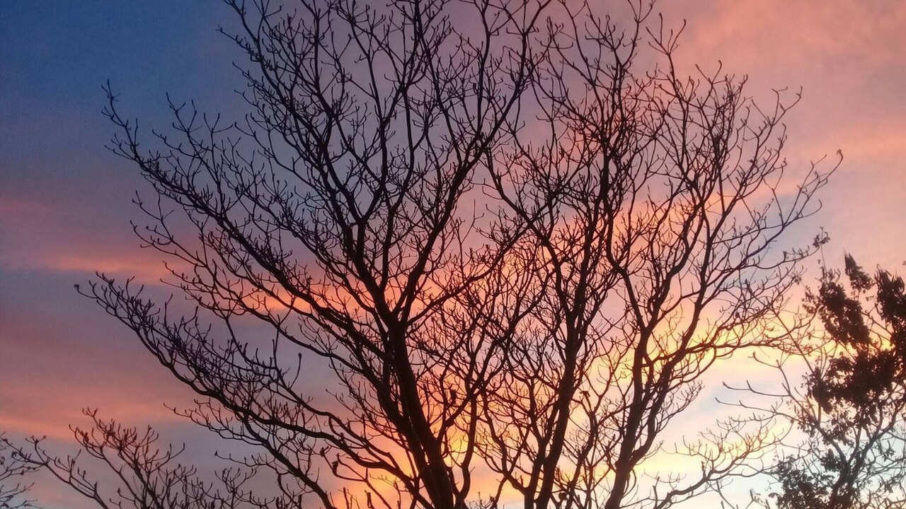 Photo of Outdoor in Salchi