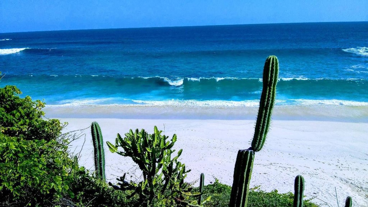 Photo of Outdoor in Salchi