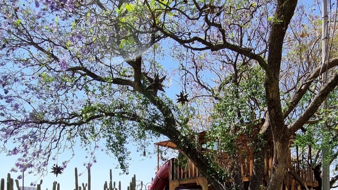 Photo of Outdoor in Silao