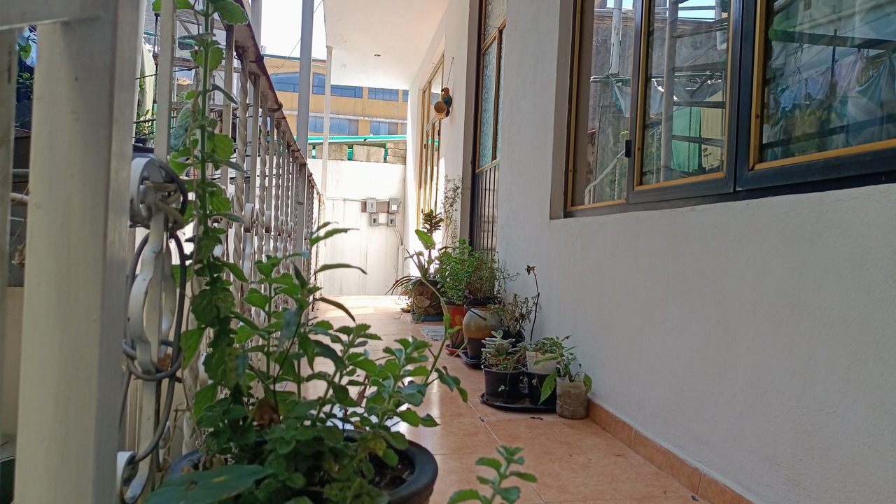 Photo of Outdoor in Tianguistenco