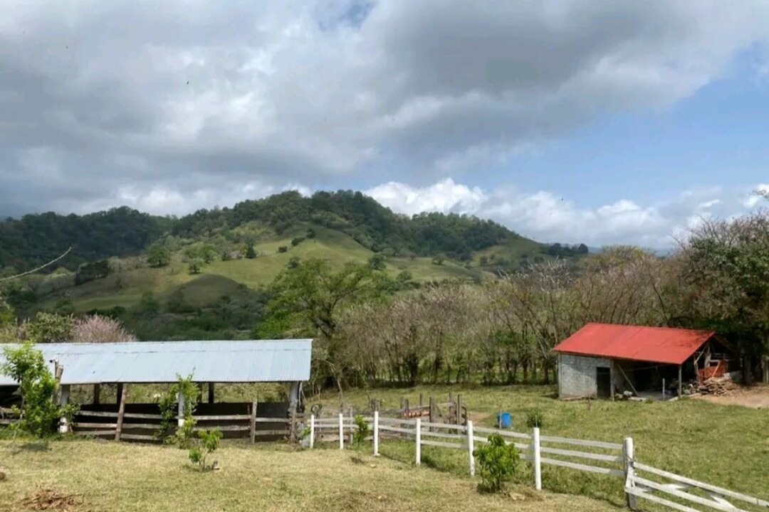 Photo of Outdoor in Xilitla