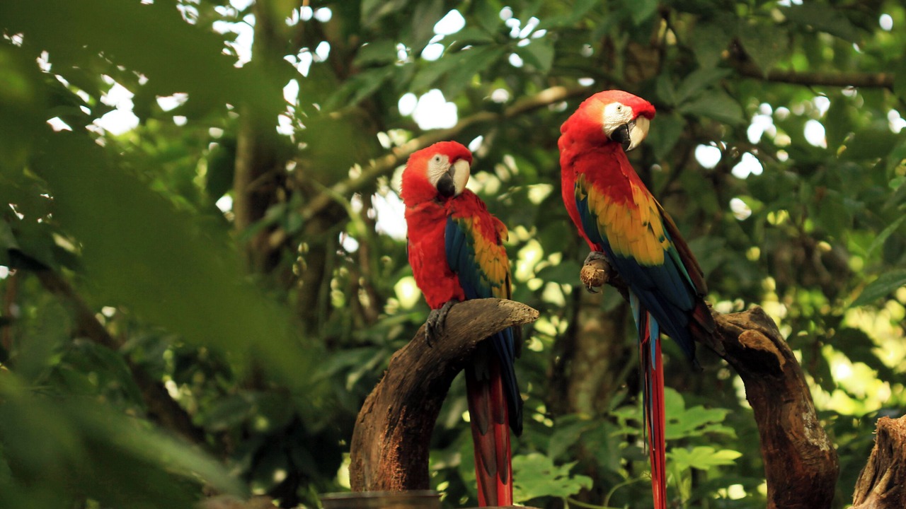 Photo of Others in Palenque