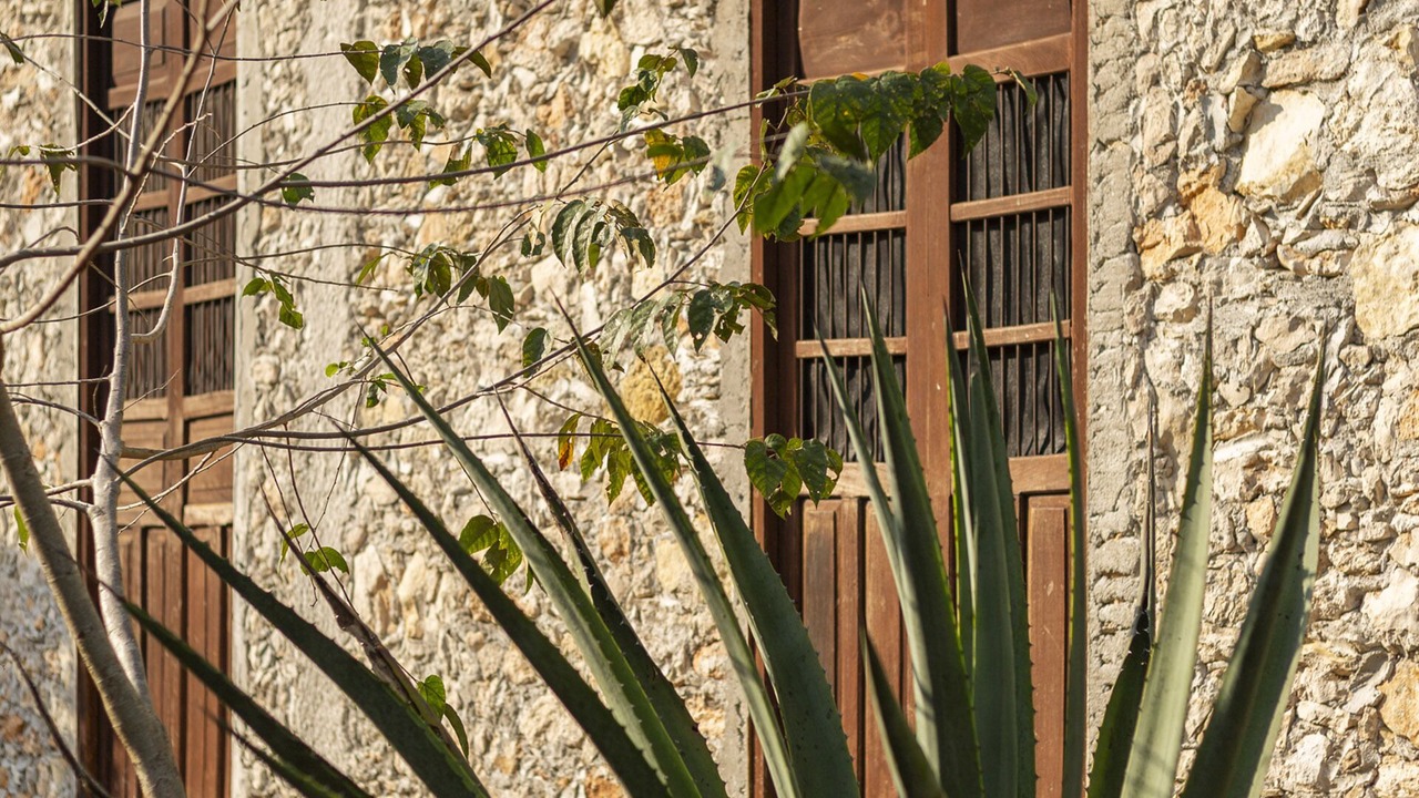 Photo of Outdoor in Izamal