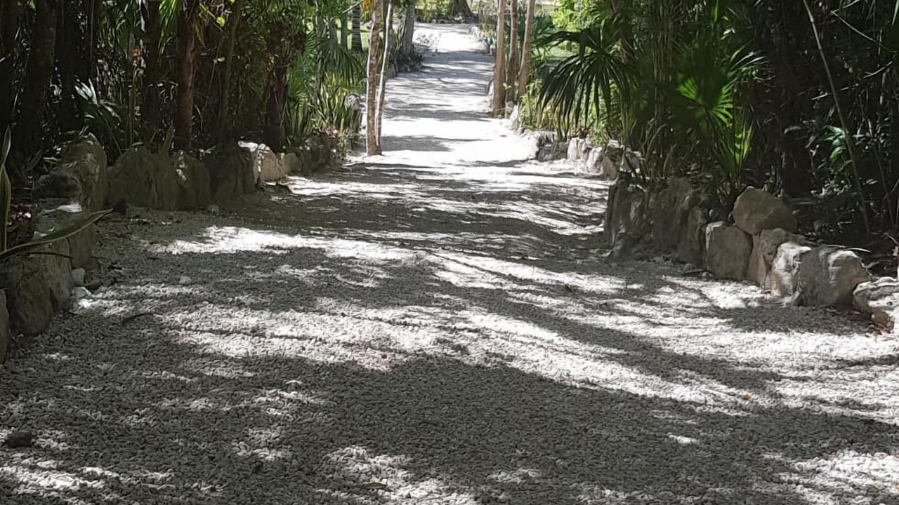 Photo of Others in Raudales