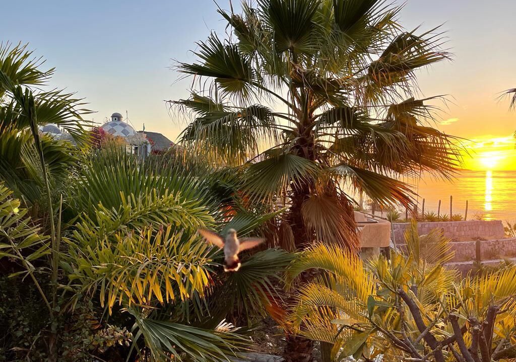 Photo of Outdoor in El Sargento