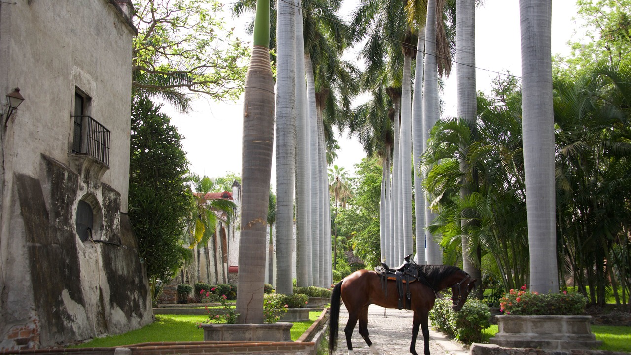 Photo of Outdoor in San Jose Vista Hermosa