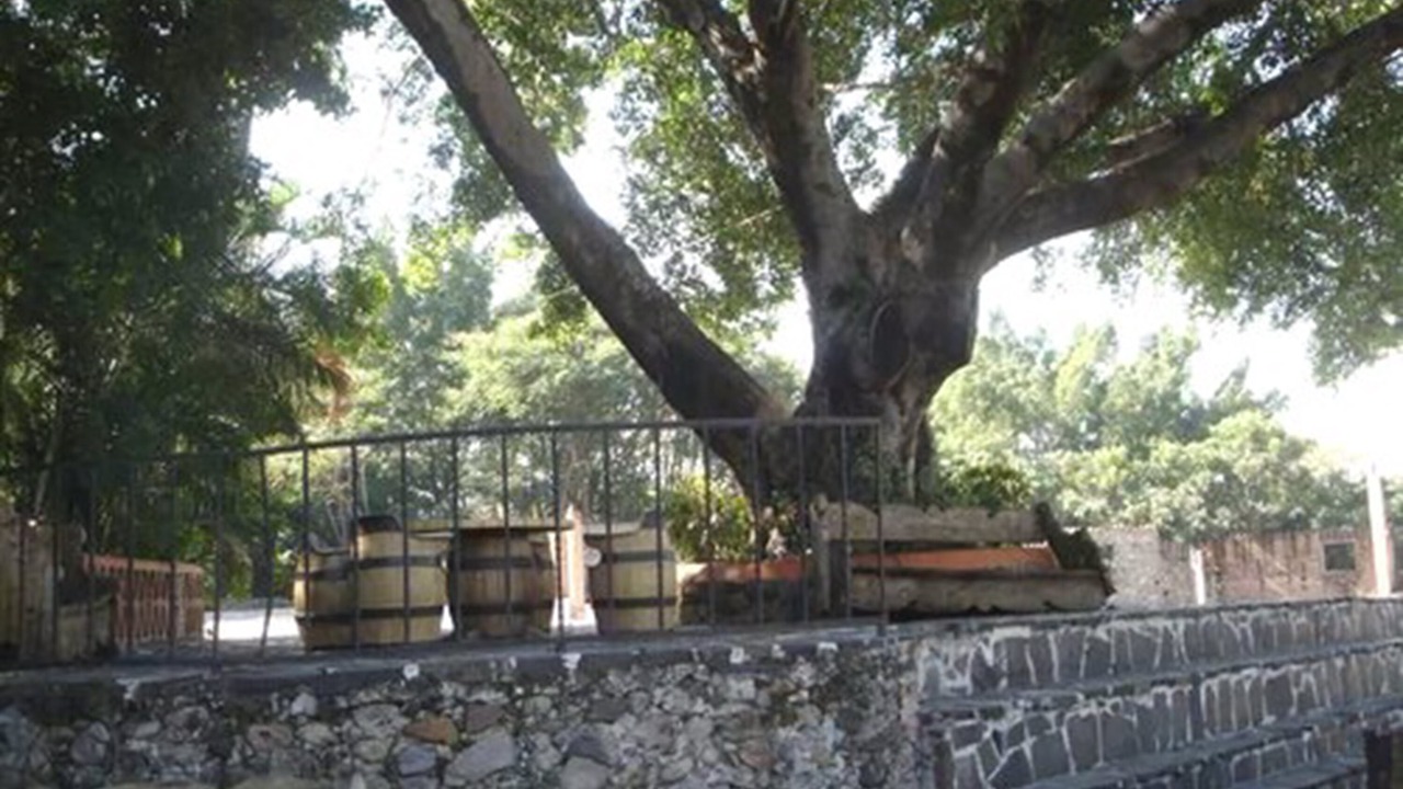 Photo of Patio Balcony in San Jose Vista Hermosa