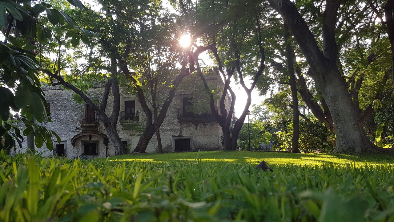 Photo of Outdoor in San Jose Vista Hermosa