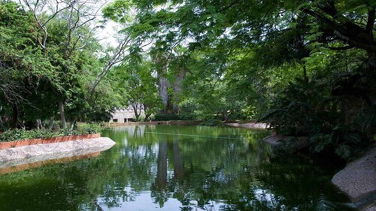 Photo of Outdoor in San Jose Vista Hermosa