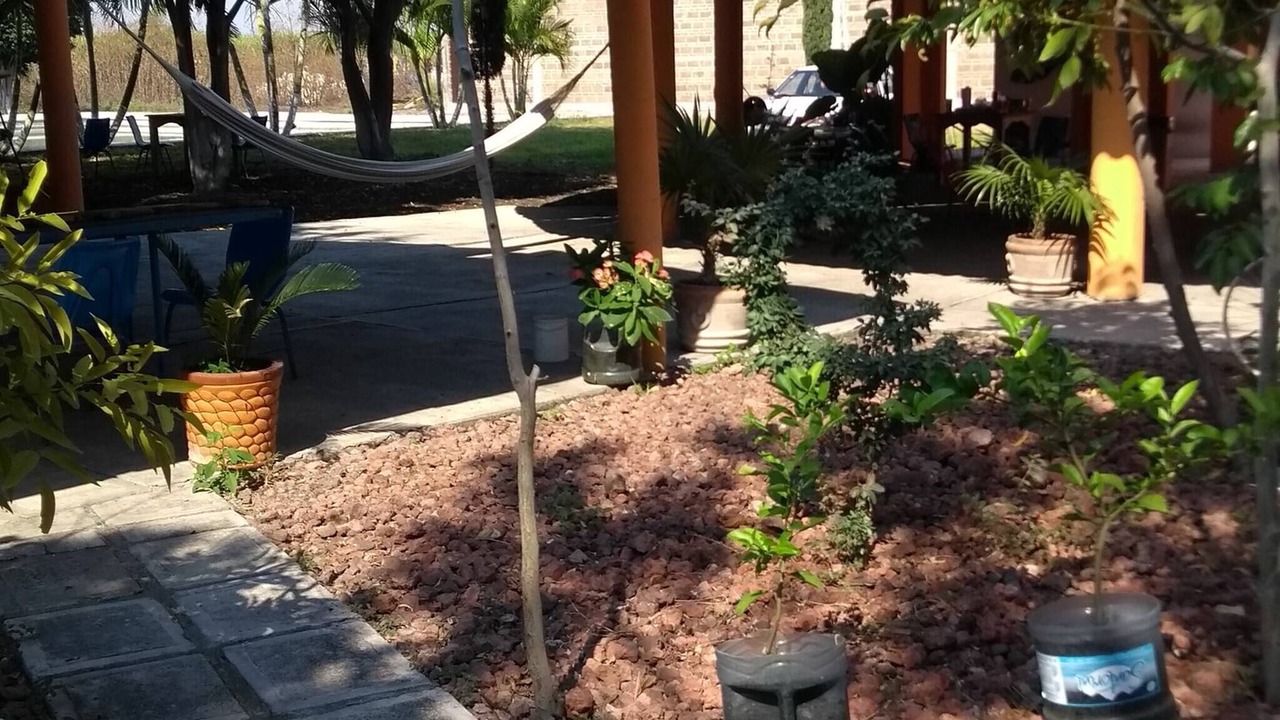 Photo of Outdoor in Tlaquiltenango