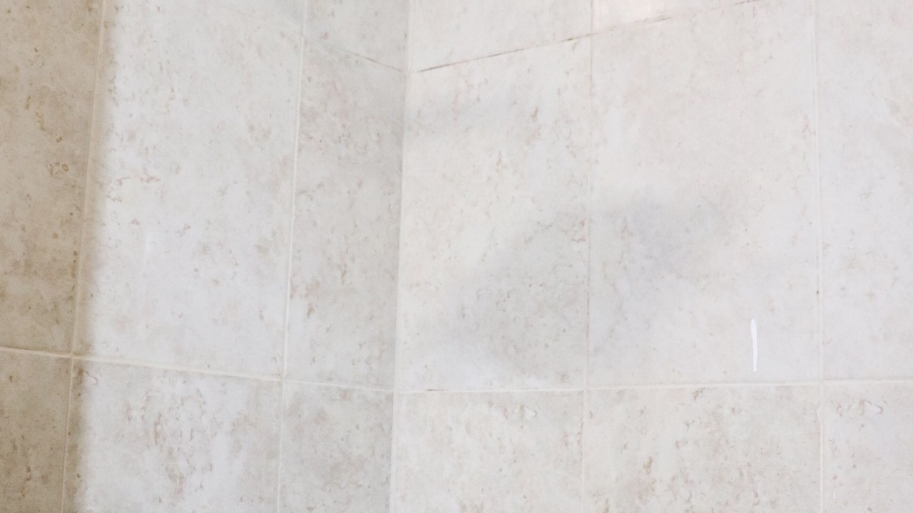 Photo of Others in San Juan de los Lagos