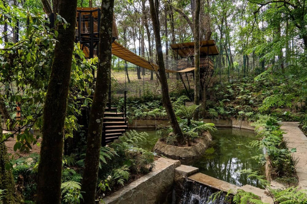 Photo of Outdoor in Avandaro