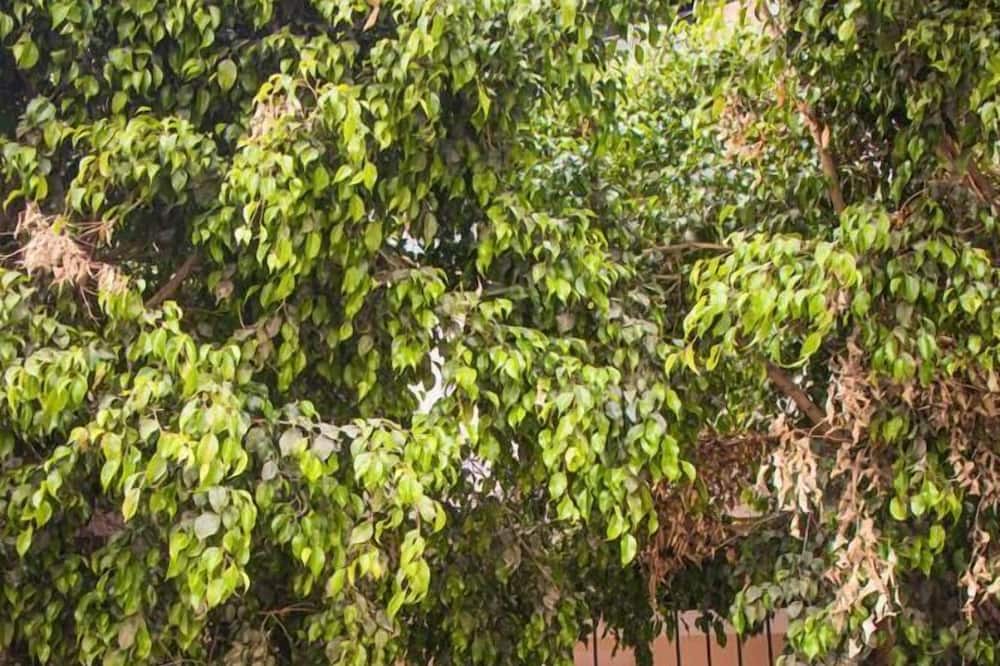 Photo of Outdoor in Ciudad del Maiz