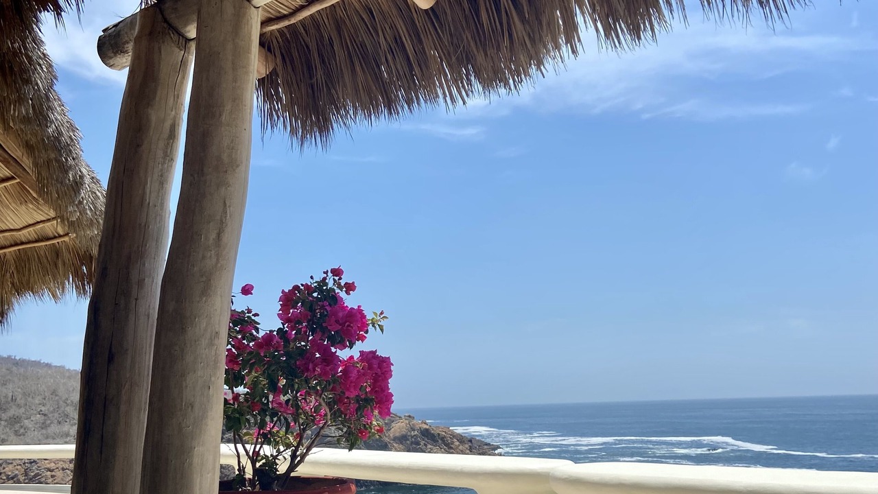 Photo of Outdoor in Chamela