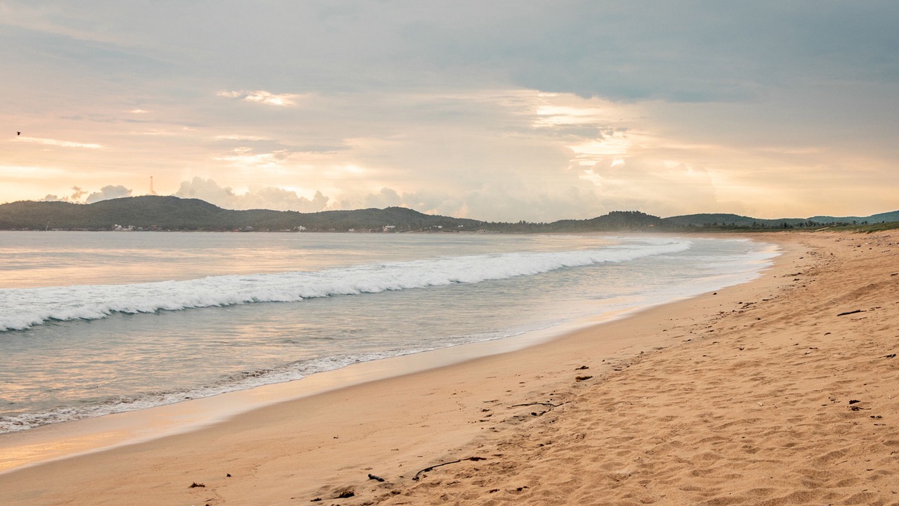 Photo of Others in Punta Perula