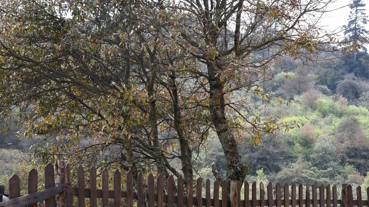 Photo of Outdoor in Mineral del Monte