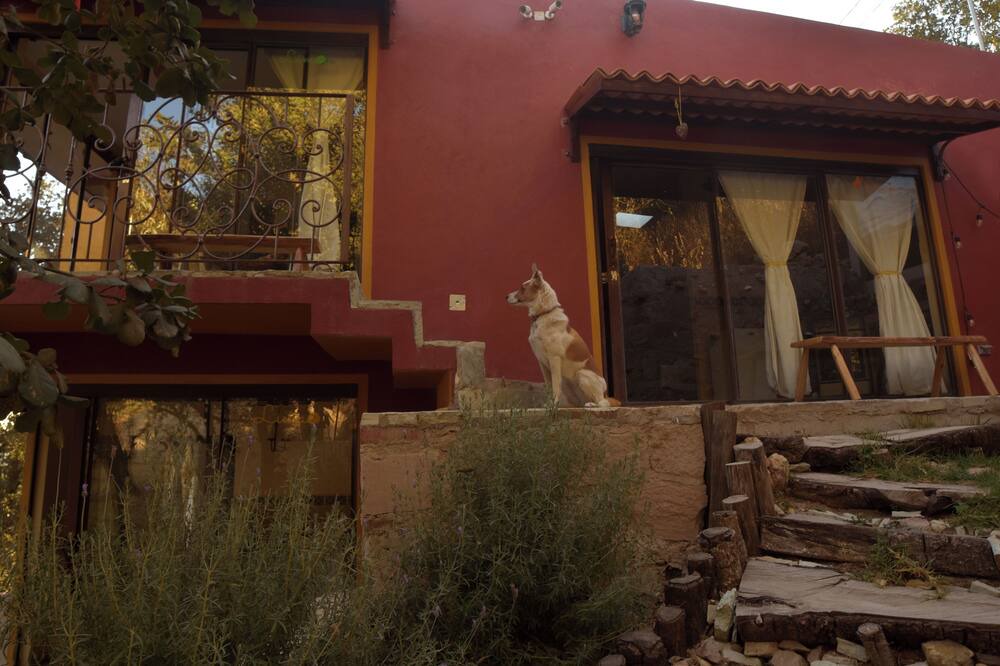 Photo of Outdoor in Zona Centro