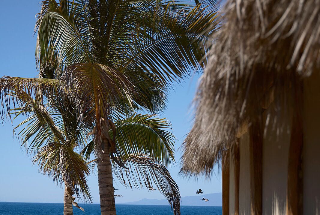 Photo of Outdoor in Quimixto