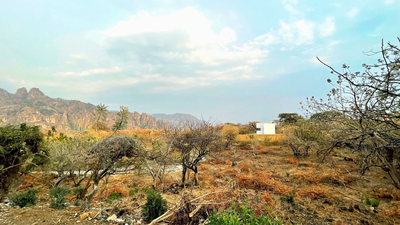 Photo of Others in Tepoztlan