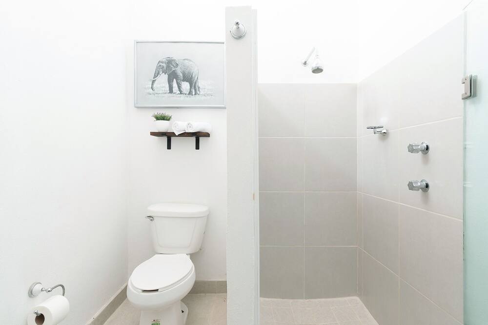 Photo of Bathroom in Ajijic