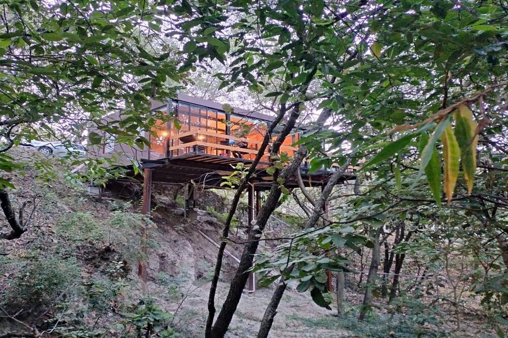 Photo of Others in Zapopan