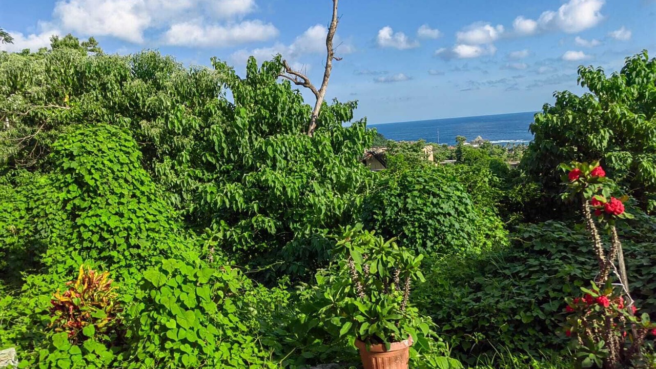 Photo of Outdoor in Mazunte