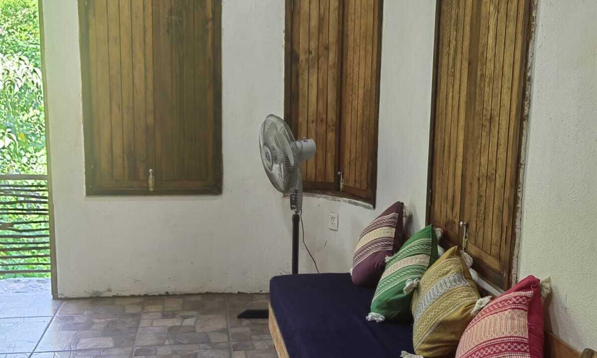 Photo of Others in Mazunte