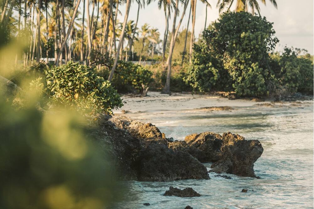 Photo of Outdoor in Copala