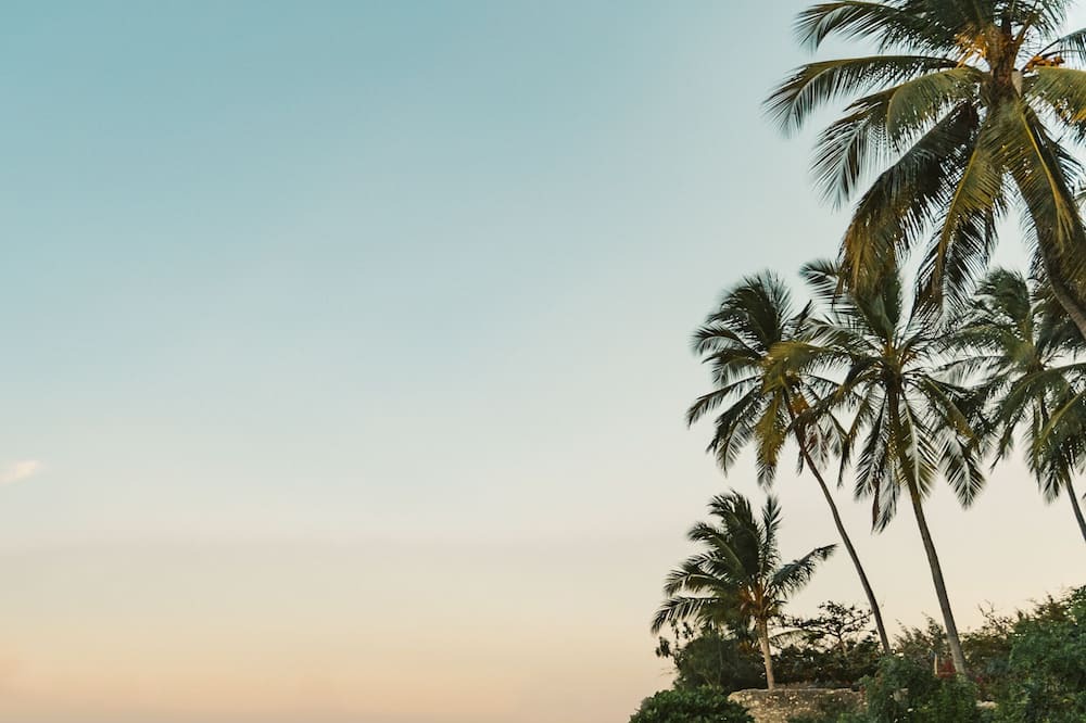 Photo of Outdoor in Copala