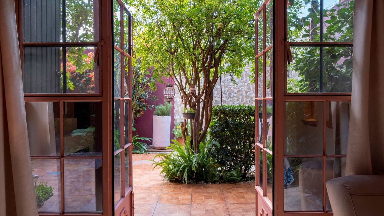 Photo of Outdoor in Colonia San Antonio