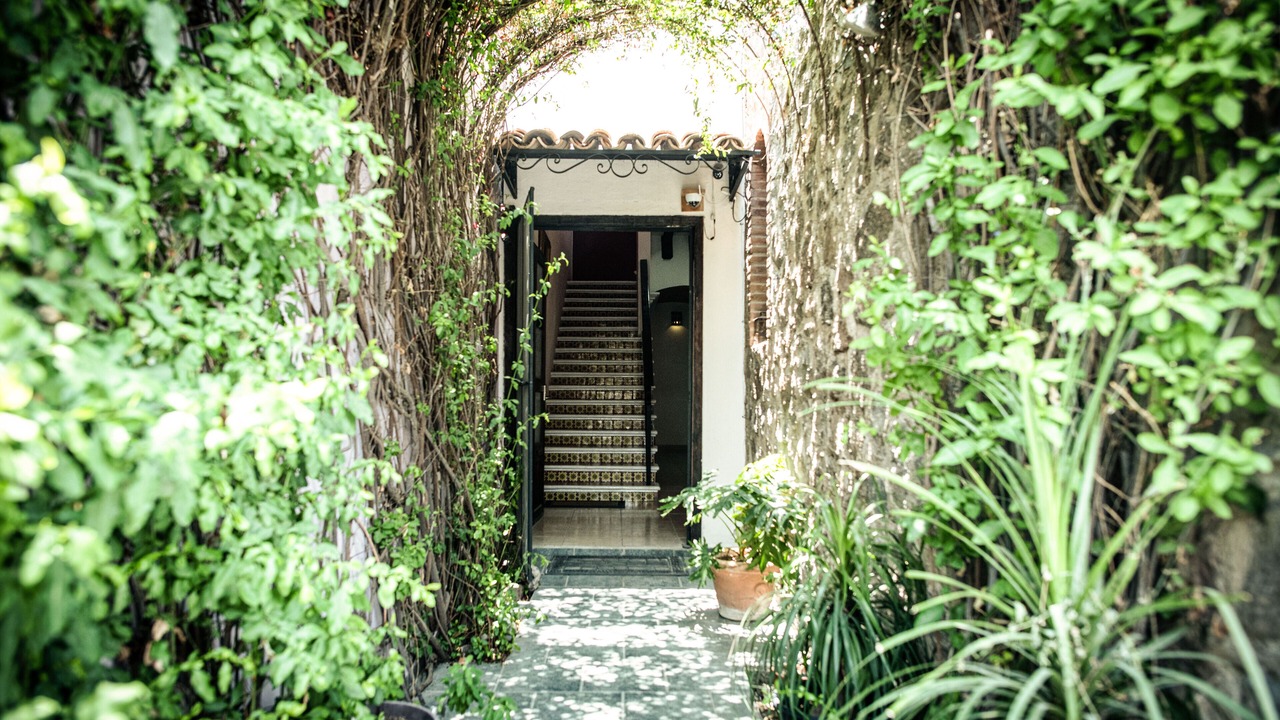 Photo of Outdoor in Colonia San Antonio