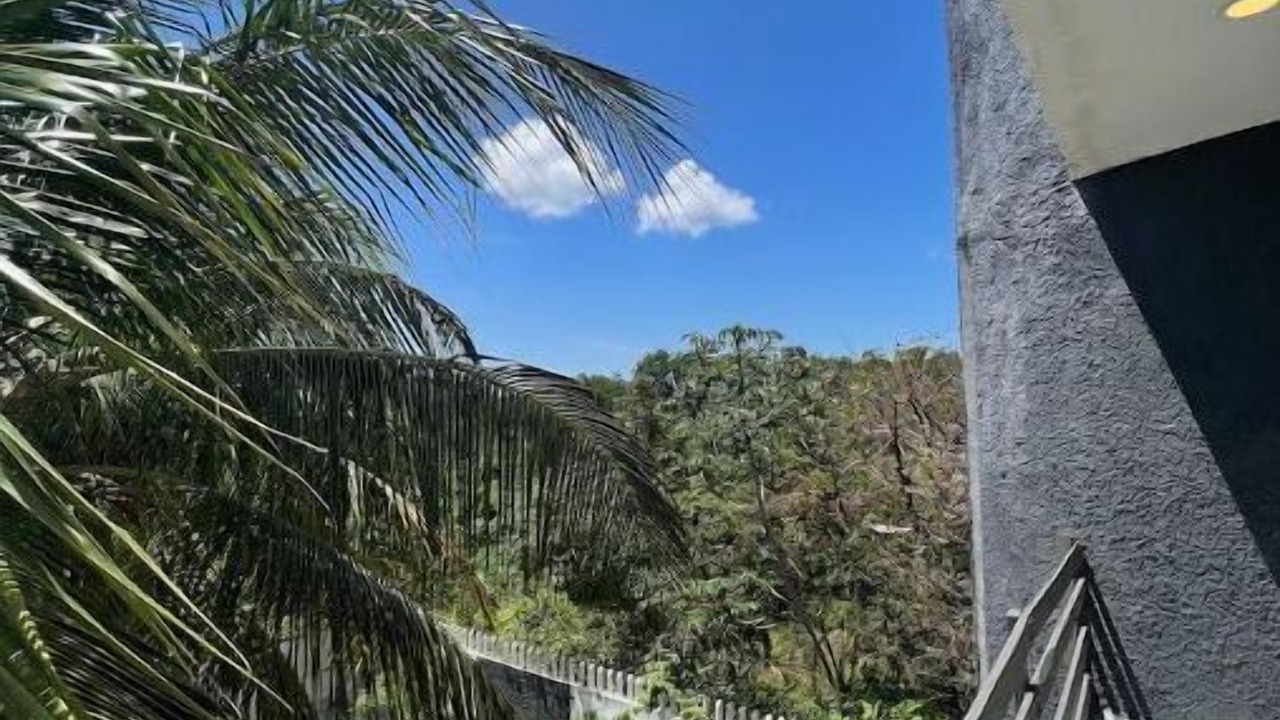 Photo of Outdoor in Colonia Independencia