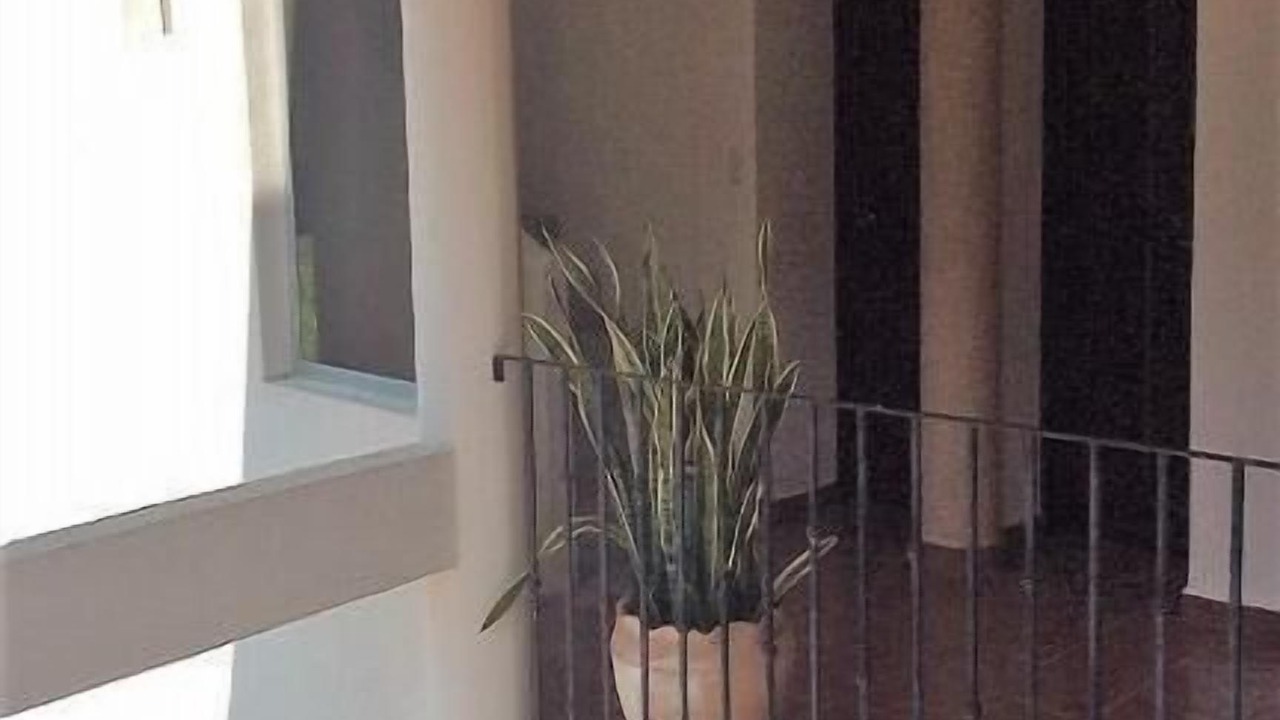 Photo of Outdoor in Santa Maria Huatulco