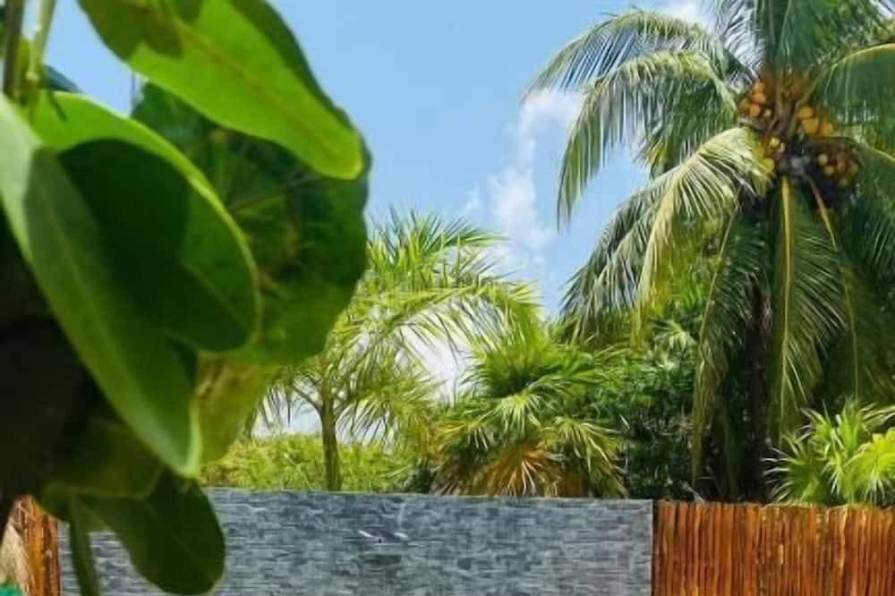 Photo of Patio Balcony in Rio Lagartos