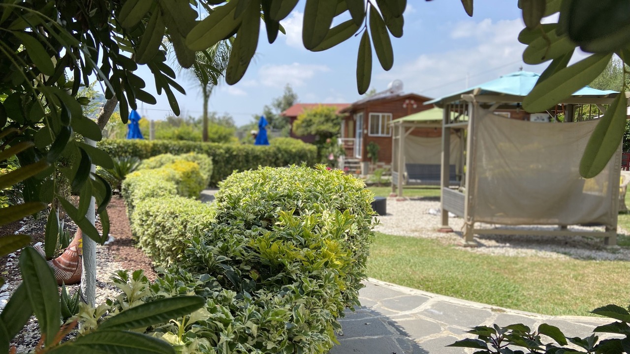Photo of Outdoor in Totolapan