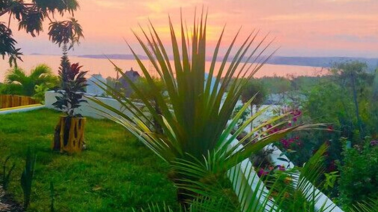Photo of Outdoor in La Manzanilla