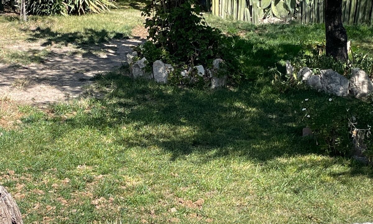 Photo of Outdoor in Bernal